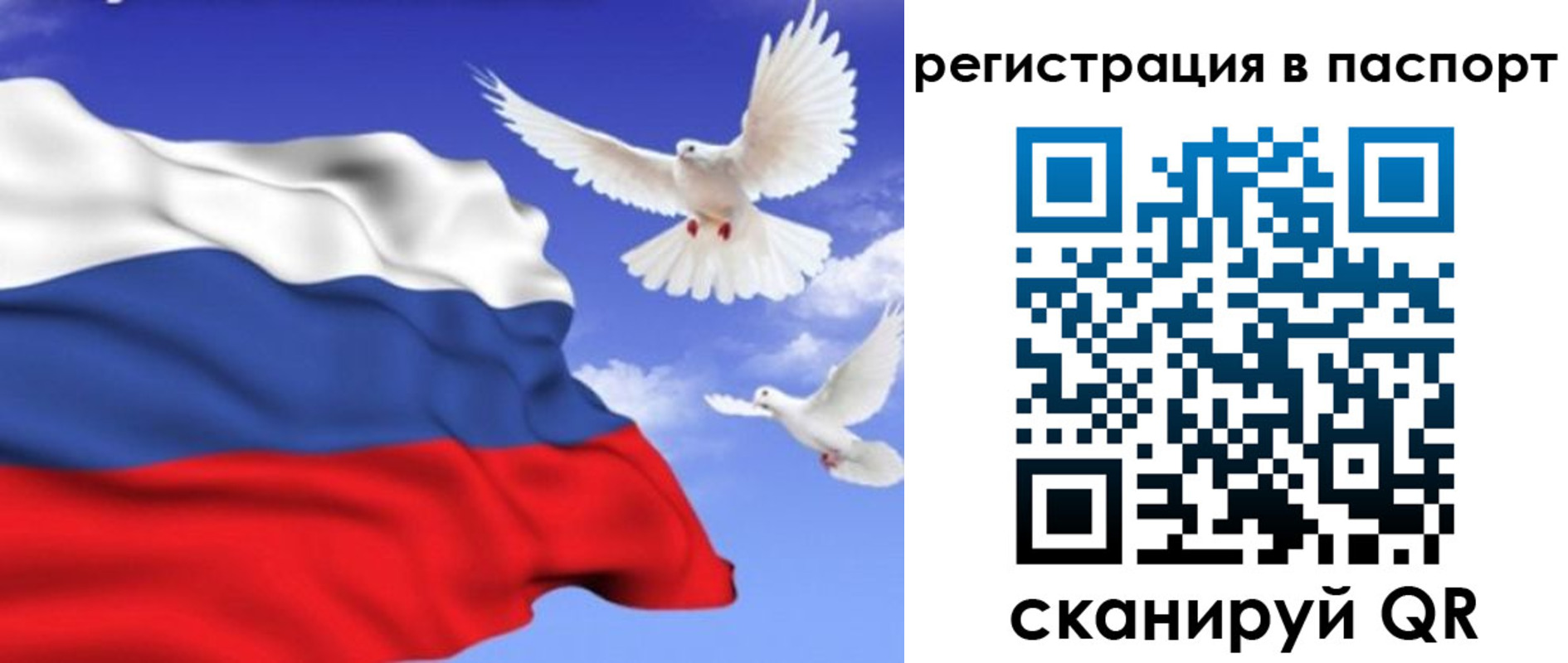 купить прописку в Рошале